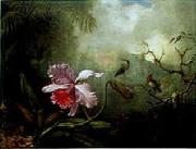 Martin Johnson Heade Cattleya Orchid Three Brazilian Hummingbirds oil painting artist